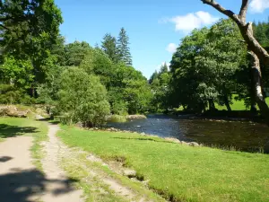 Gwydir Forest Park
