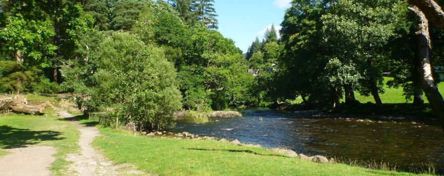 Gwydir Forest Park