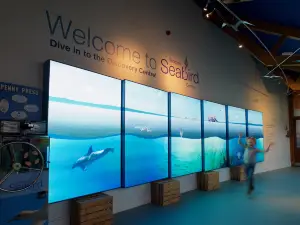 Scottish Seabird Centre