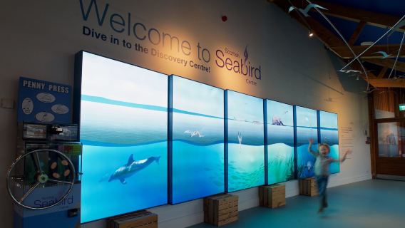 Scottish Seabird Centre