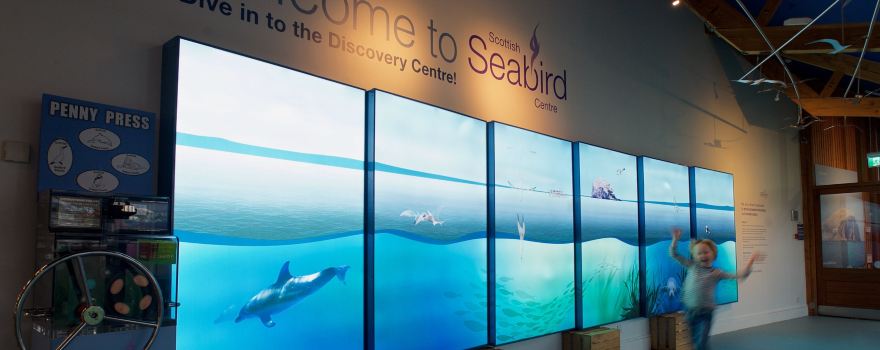 Scottish Seabird Centre