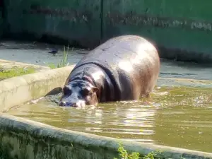 Nagaland Zoological Park