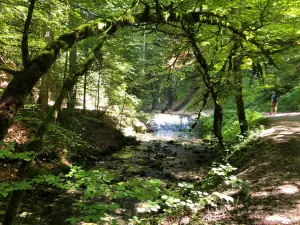 Source bleue