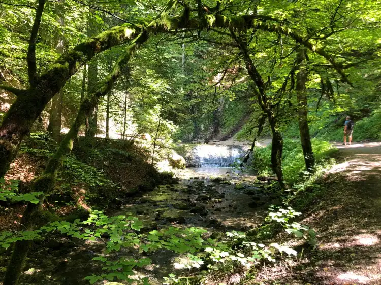 Montperreux