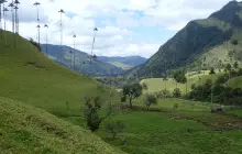 Los Nevados National Park