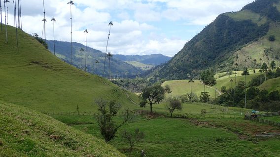 Amphoe San Sai