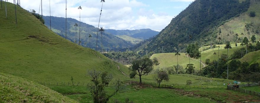 Los Nevados National Park