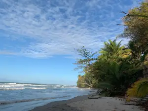 Blanchisseuse Beach Facility