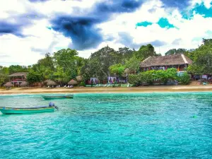 Paradise Island & The Mangroves (Cayo Arena)