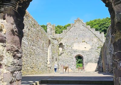 Llys yr Esgob, Tyddewi / St Davids Bishop's Palace