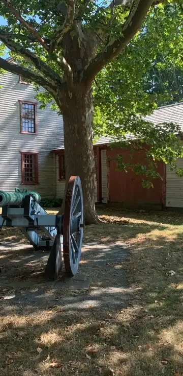 ブレーンツリーのホテル