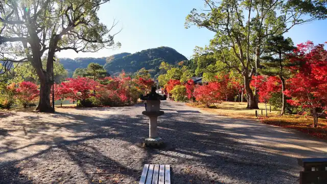 Hotels near Shiramizu Amidado