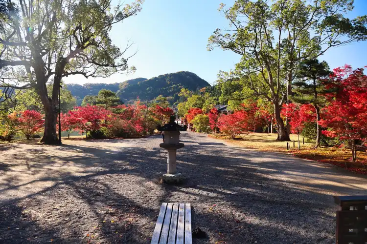 Hotels near Shiramizu Amidado