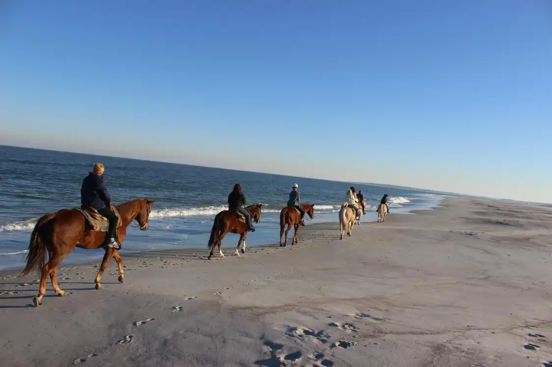 Hotels near Kelly Seahorse Ranch