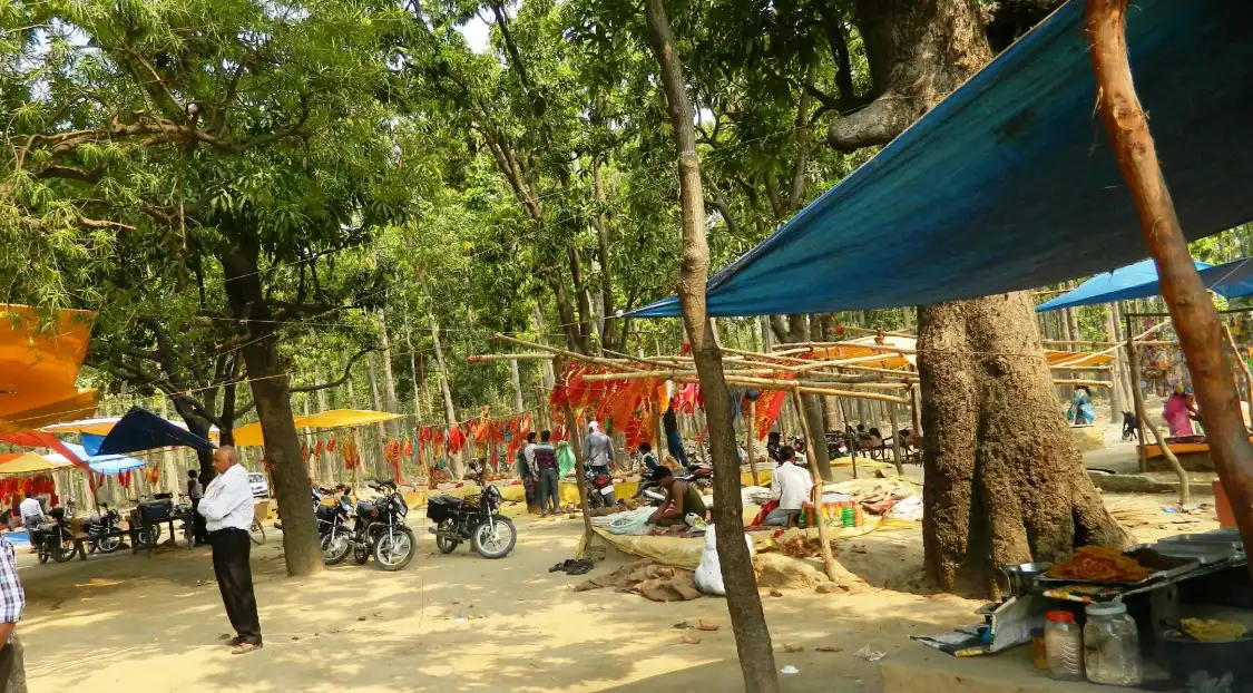 Hotel in zona Kushmi Forest
