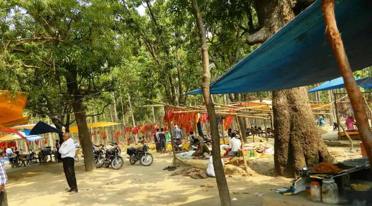 Hotels near Kushmi Forest