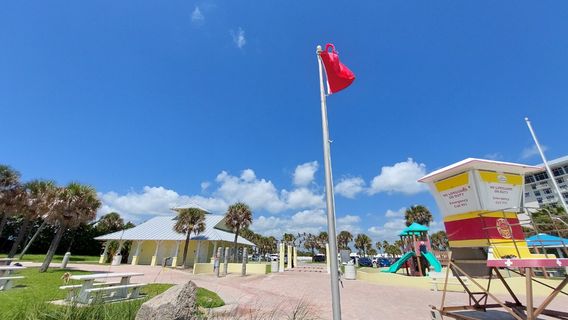 Daytona Beach Shores