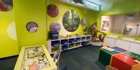 North Museum of Nature and Science