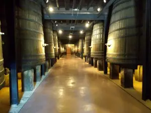 Bodegas Franco Espanolas