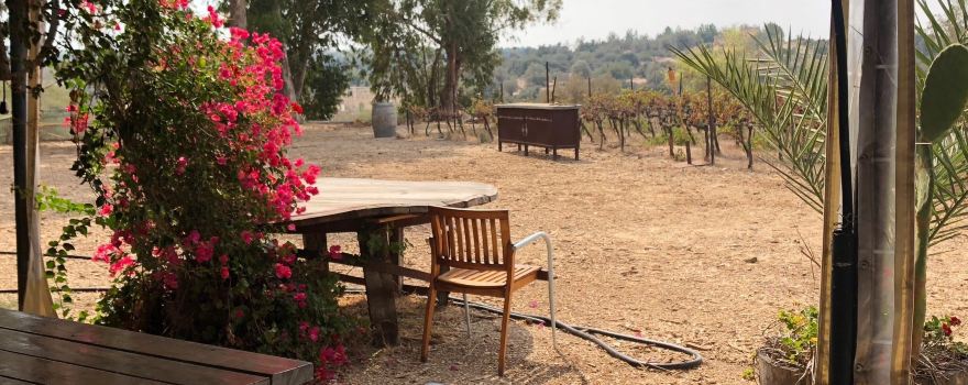 Agur Winery