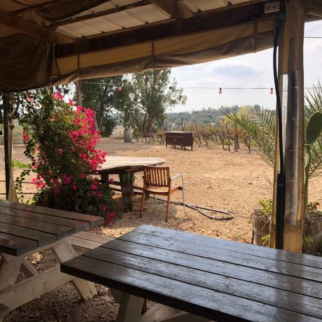 Agur Winery