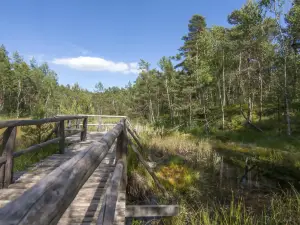 Naturpark Hochmoor UnterWasserReich Schrems