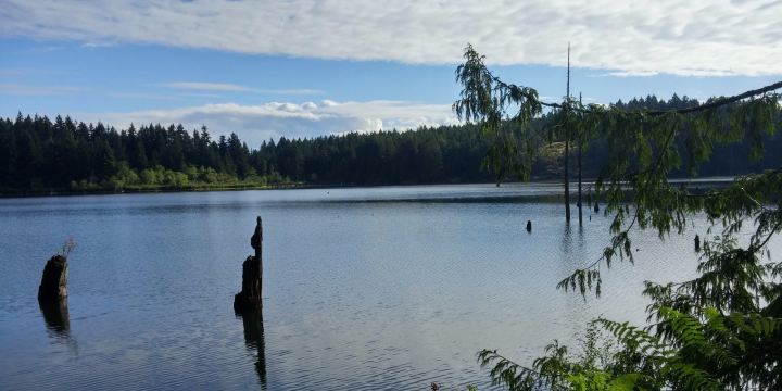 Westwood Lake Park