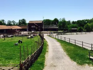 Skalby 4H-gard