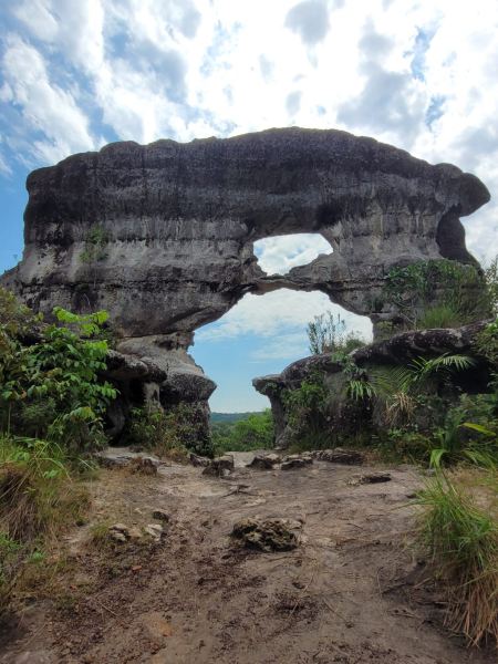 Florencia to San Jose Del Guaviare Flights
