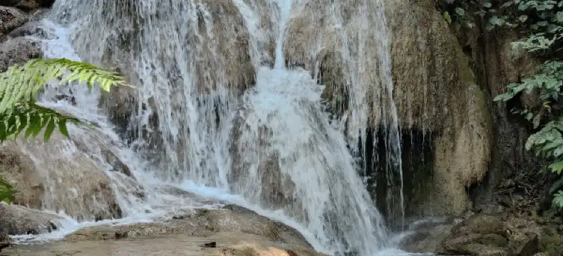 โรงแรมในอำเภอ พาน