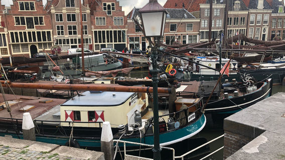 Hoorn
