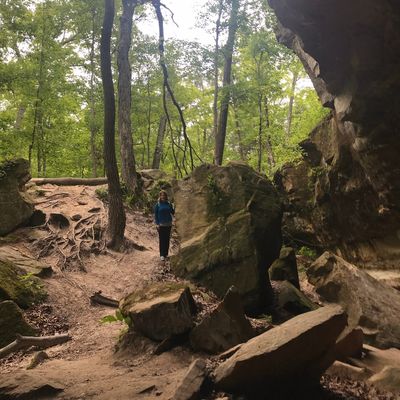 Don Robinson State Park