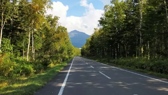 Shirakaba-Kaido St