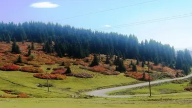 Yavuzkemal Belediyesi