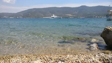 Torba