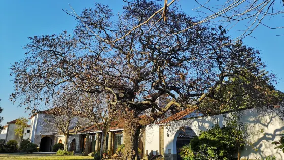 Quinta dos Conegos