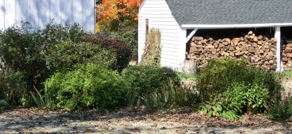 Hotels in Windham