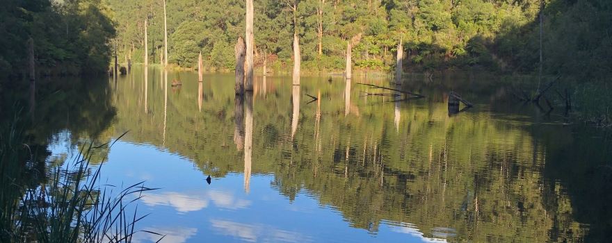 Lake Elizabeth