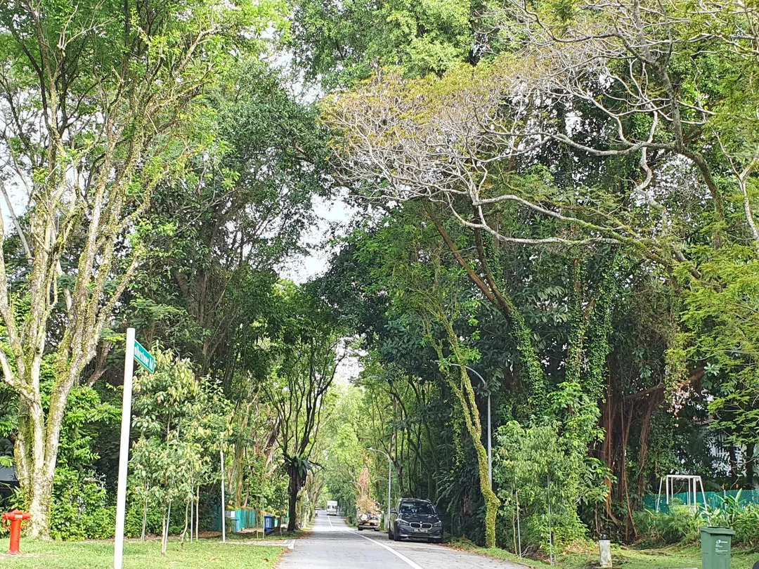 5_Medway Park Colonial Estate