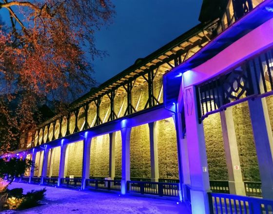 巴特賴興哈爾 自由行套票