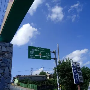 Gangju Sunflower Village