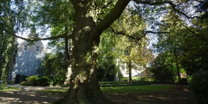 Ambtmanstuin-Stadspark te Tiel