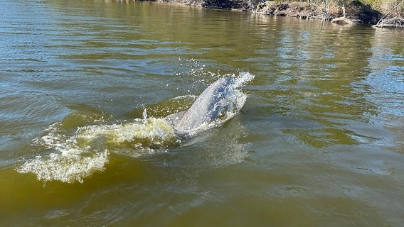 Banana River Boat Tours