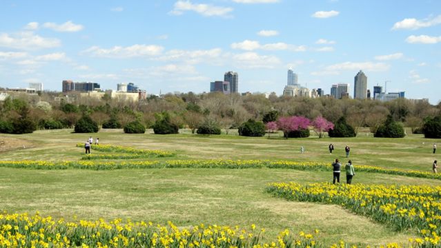 Dorothea Dix Park