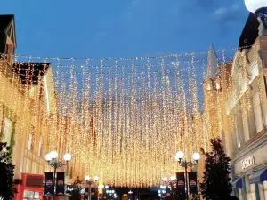 Magic City Park