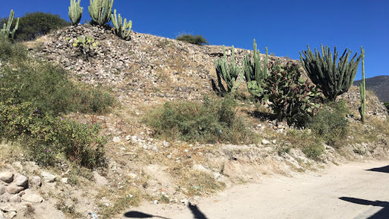 Grupo Del Sur (Z.A. de Mitla)