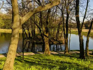 Park miejski