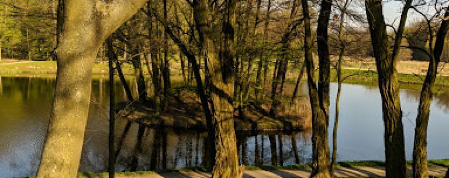 Park miejski