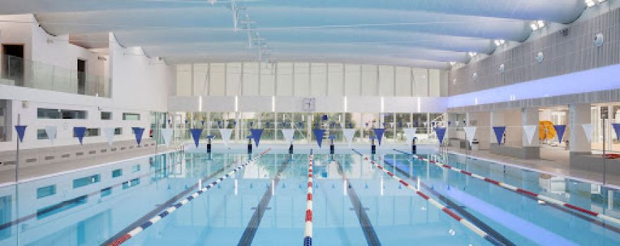 Alfred Sevestre Pool