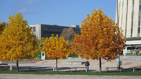 Sportna Zala